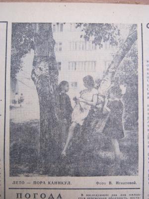 Прикрепленное изображение: IMG_2724.JPG